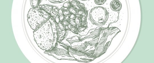 Ein illustrierter Teller mit verschiedenen Nahrungsmitteln